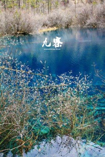 全民剧本大师内置菜单
